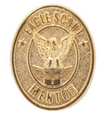 Eagle Mentor Pin