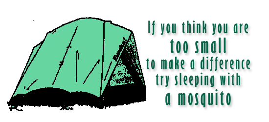 Too Small To Make A Difference?
